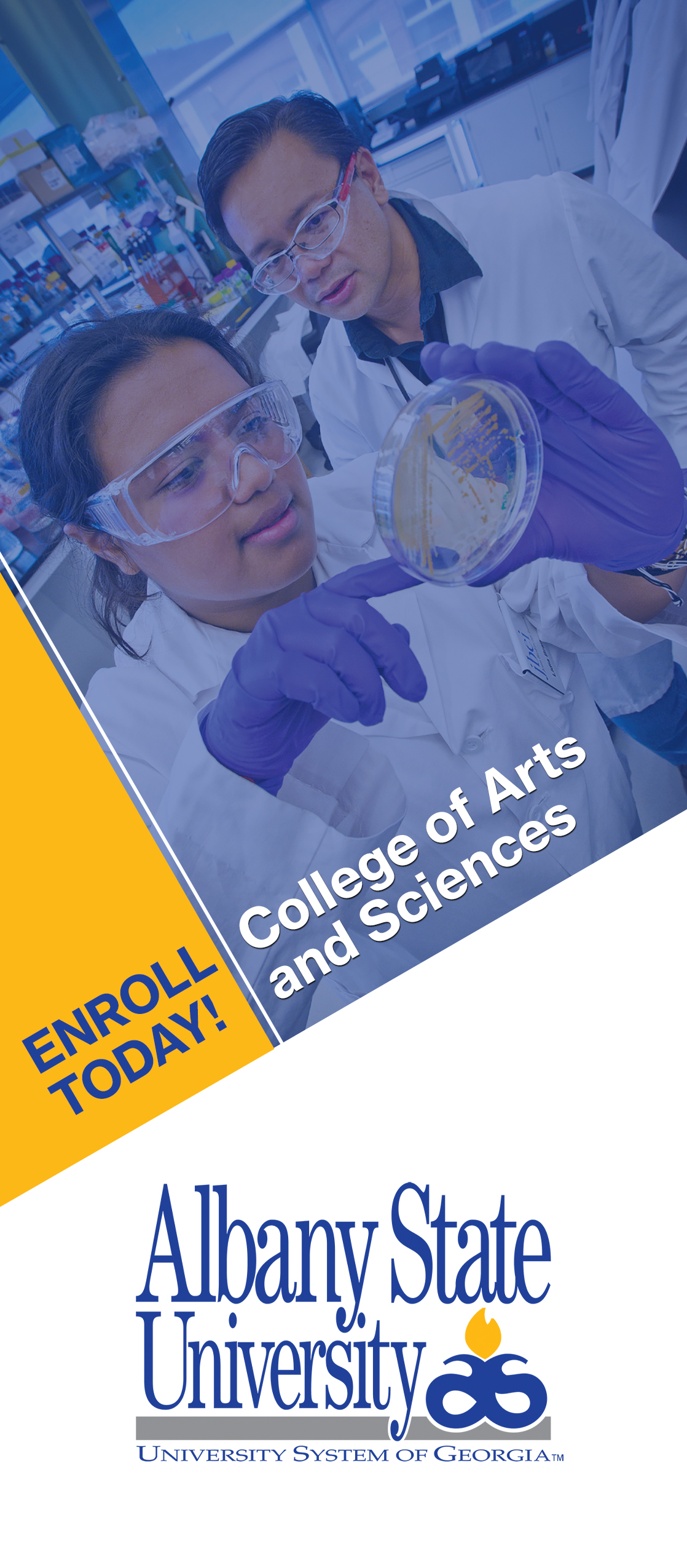 coas trifold coas trifold